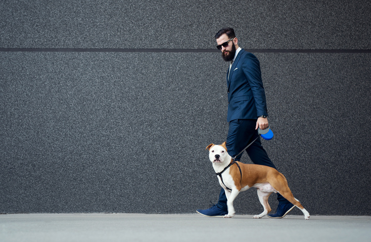 man walking dog after limo trip