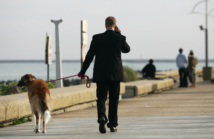 a limousine chauffeur take the dog for a walk on lakefront